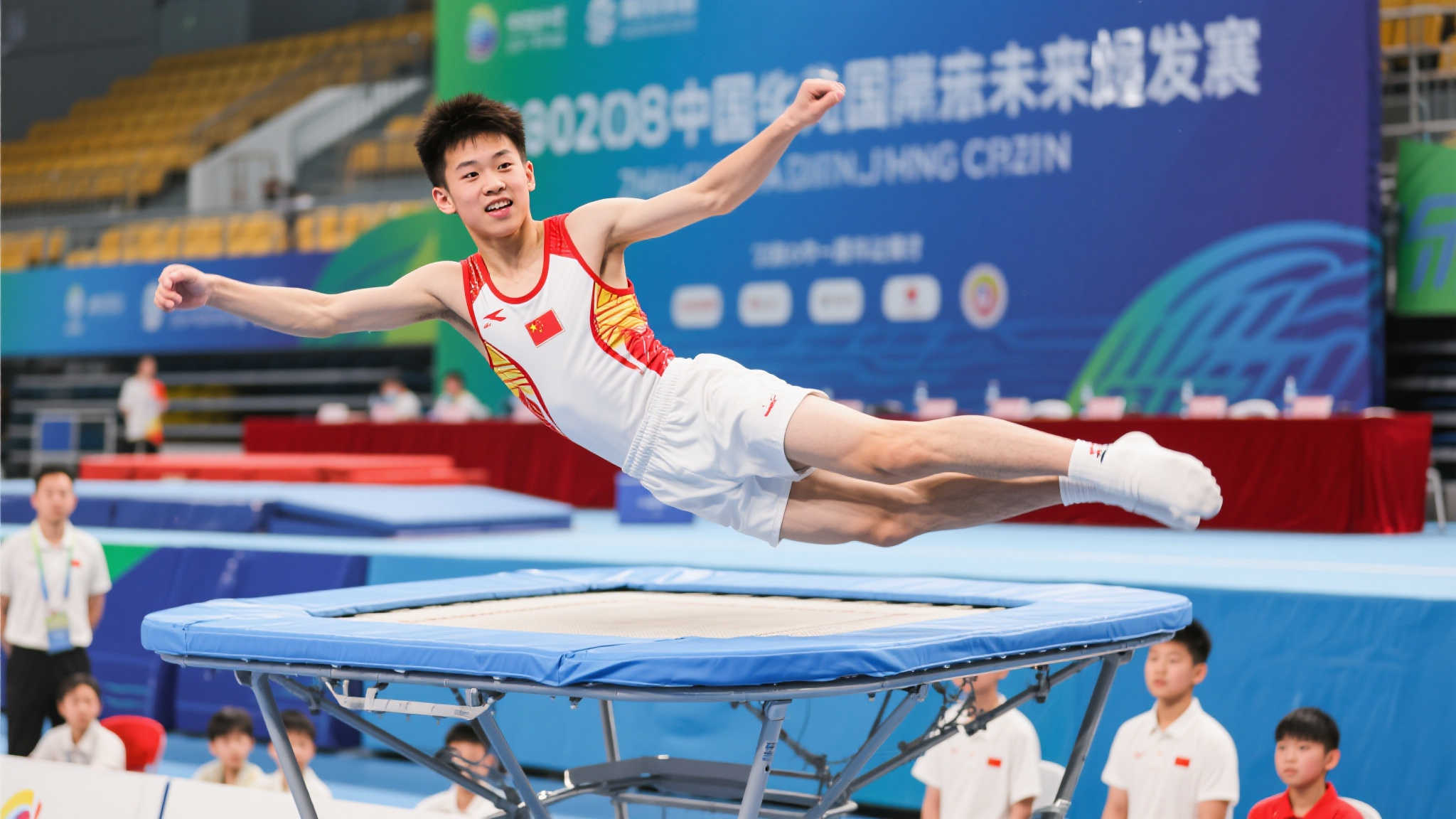 职业生涯之