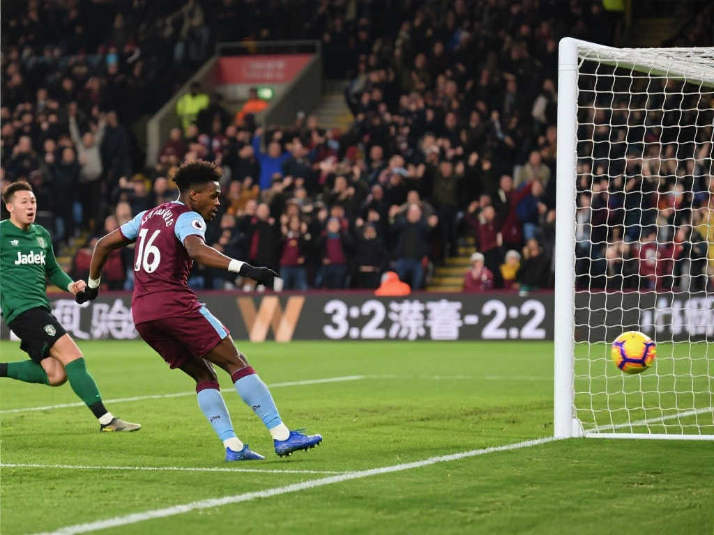 气候条件的 气候条件的